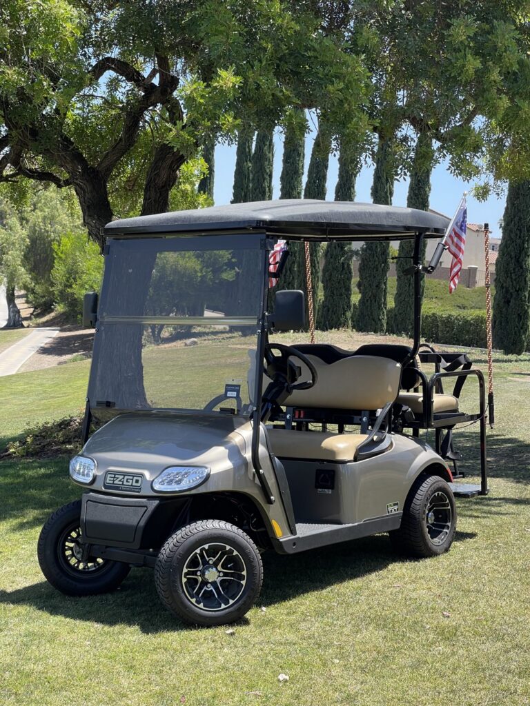 2019 E-Z-GO Freedom TXT ELiTE