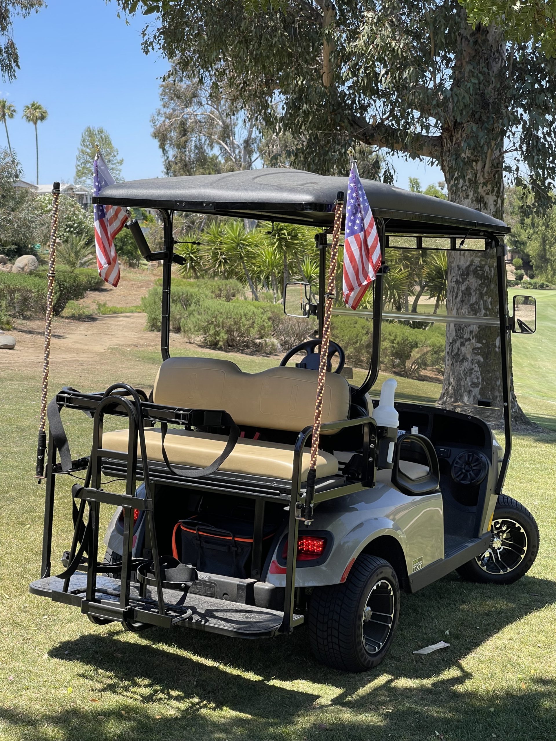 2019 E-Z-GO Freedom TXT ELiTE